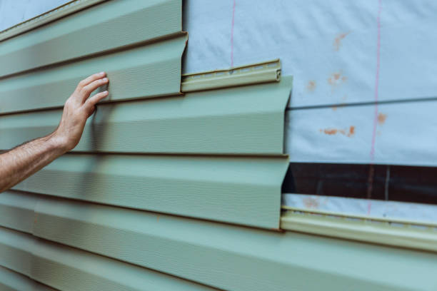 Best Vinyl Siding Installation  in Cedar Falls, IA